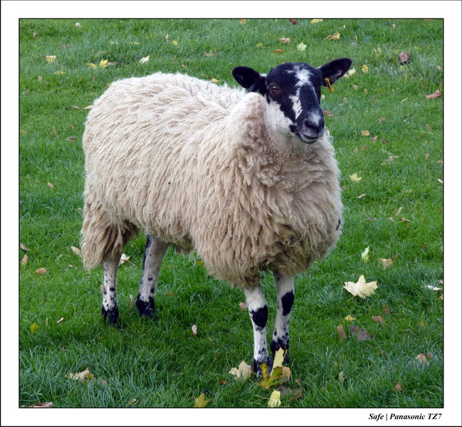 2010 - 10 - Stamford 27